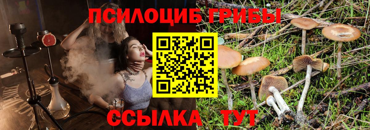 Семёнов  Псилоцибиновые грибы Cubensis  Вход с VPN 